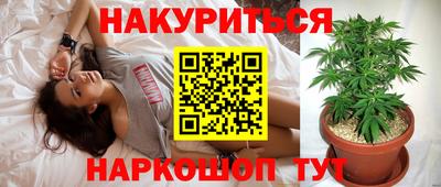 каннабис Будённовск